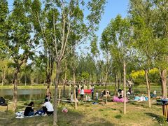 -东郊湿地公园