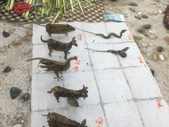 -长兴太湖图影湿地文化园