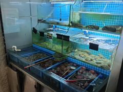 -老东镇啤酒屋海鲜加工·蒸汽海鲜·海鲜烧烤(台东店)