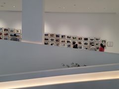 -罗红摄影艺术馆