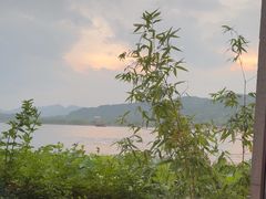 -湖畔居茶楼(湖滨店)