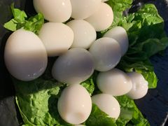 -辣伍鲜毛肚老火锅(元一店)