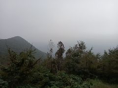 -北仑森林植物园