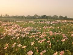 -汉长安城未央宫国家考古遗址公园