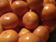 -艺水间水汇