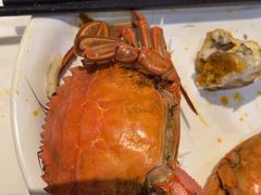 -半岛听涛蒸汽海鲜自助(K11店)