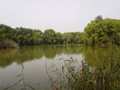 -西安浐灞国家湿地公园
