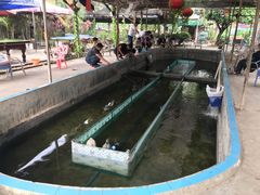 -小象钓虾·营地烧烤(洛溪店)