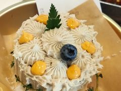 -野草莓自由市场