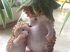 -新湖明珠城