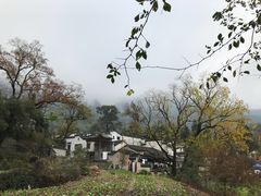 -塔川景区