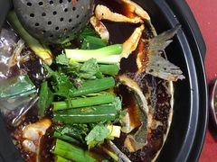 -老杨砂锅鱼庄