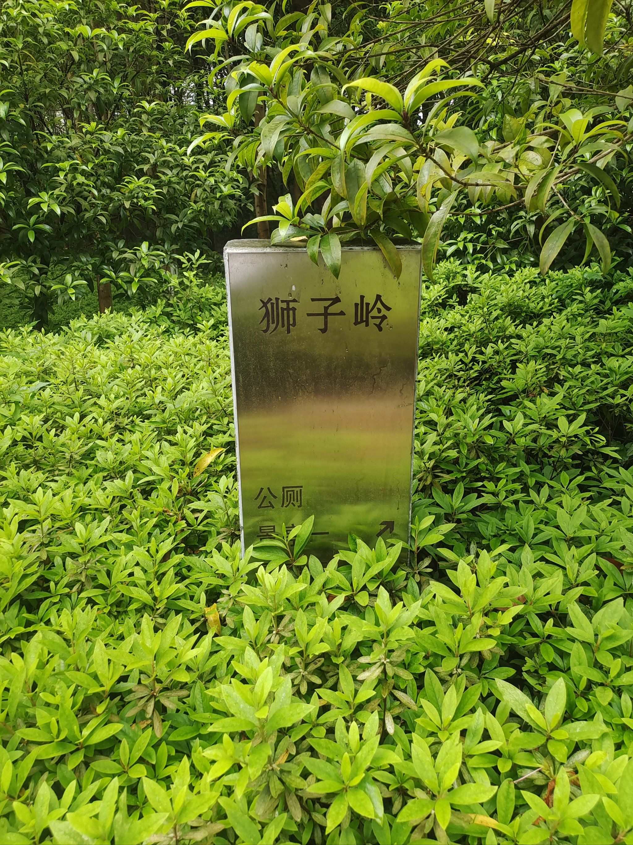 高安狮子岭公园是一个位于中国湖南省耒阳市五里牌街道的