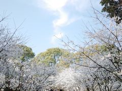 -南山植物园