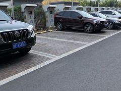 -中国宋庆龄青少年科技文化交流中心