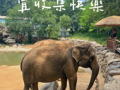 -北京野生动物园