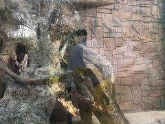 -泉州海丝野生动物世界