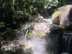 -牛背梁国家森林公园