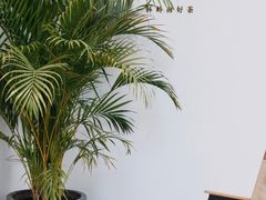 -颈渴