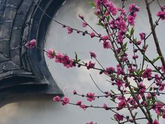 -乌山风景区