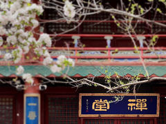 -潭柘寺景区