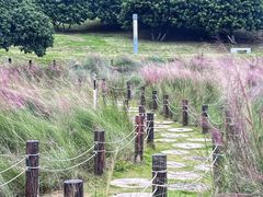 -红花山公园
