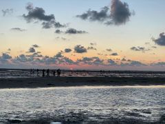 -北海金海湾红树林生态旅游区