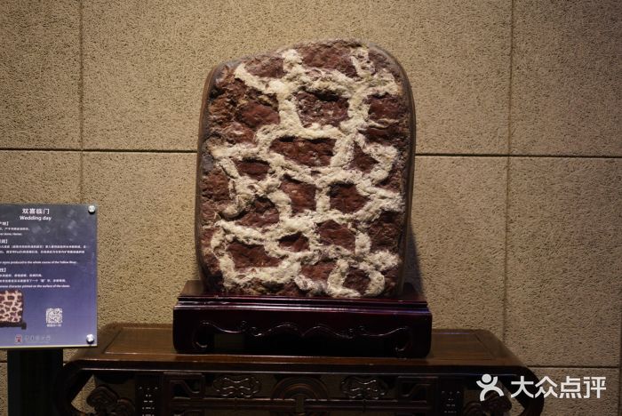 中华赏石园图片