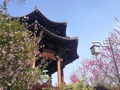 -杭州半山国家森林公园