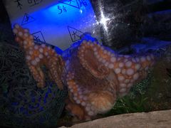 -沈阳海洋探索中心