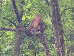 -西岭雪山大飞水景区