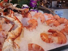 -北京首都机场希尔顿酒店