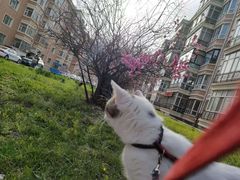 -哈尔滨师范大学(松北校区)