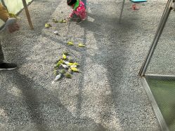 -萌宠亲子动物乐园(槐房万达店)