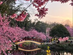 -东湖落雁景区