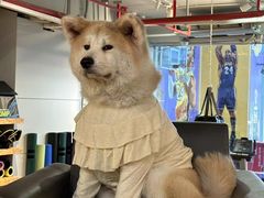 -YCHL Studios健身工作室(市二宫店)
