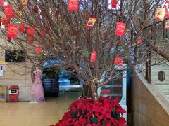 -黄埔华苑酒家(黄埔店)