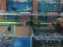 -东方之珠海鲜酒楼(南开店)