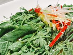 -初蓉丨遇见新川菜(亲贤街荣耀店)