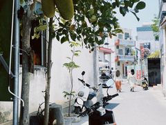 -三亚西岛海洋文化旅游区