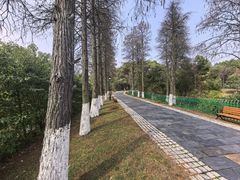 -鄱阳湖国家湿地公园
