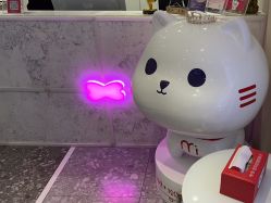 -咪咪专业脱毛连锁机构