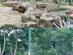 -常州淹城野生动物世界
