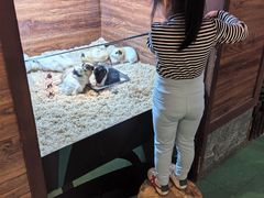 -天河城购物中心