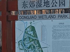-东郊湿地公园