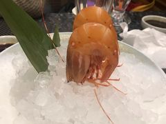 -菊上料理(蜀山银泰百货店)
