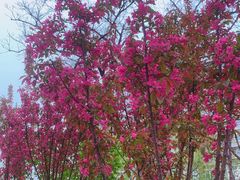 -隆福寺小吃店(东四店)