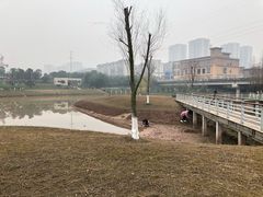 -沐仙湖湿地公园