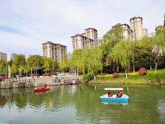-桐乡植物园