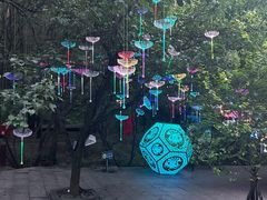 -吉林市朱雀山国家森林公园